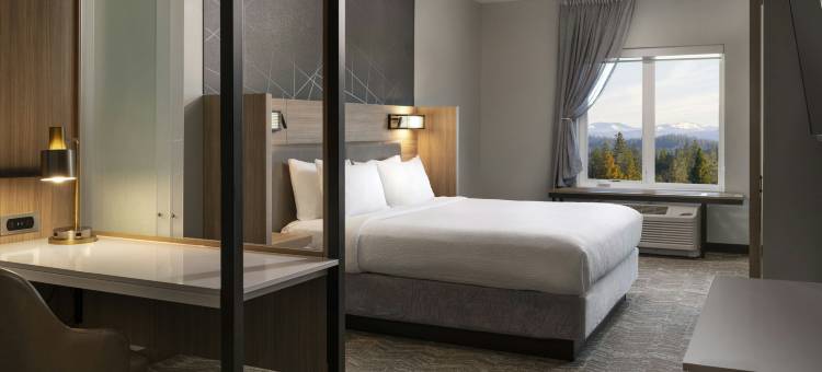 奥本万豪SpringHill Suites酒店(SpringHill Suites Auburn)图片