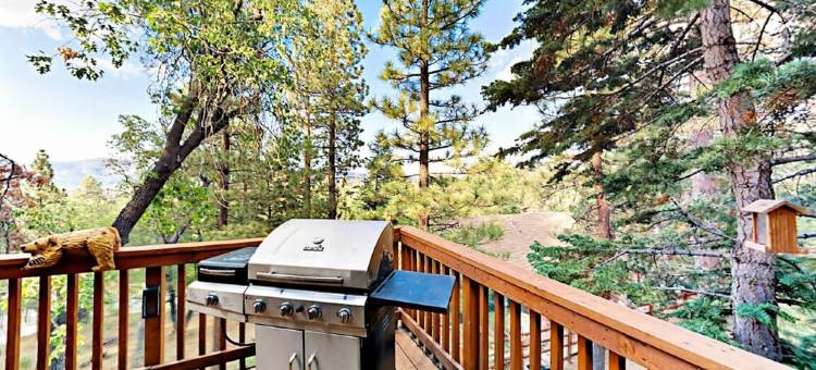 壮丽山景、热水浴缸、雪橇场地、烧烤设施和高速Wi-Fi的木屋(Spectacular mountain views, hot tub, sledding yard, bbq, fast wi-fi)图片