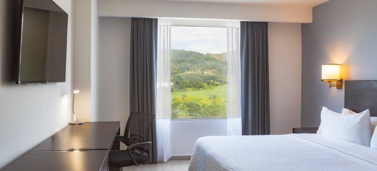 特皮克嘉年华酒店(Fiesta Inn Tepic)图片