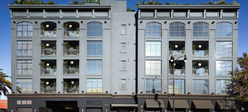 The Aster(阿斯特)(The Aster)图片