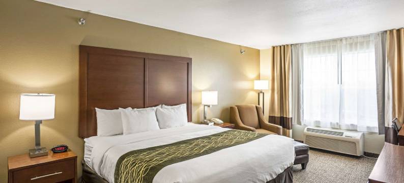 独立舒适套房酒店(Comfort Inn & Suites Independence)图片