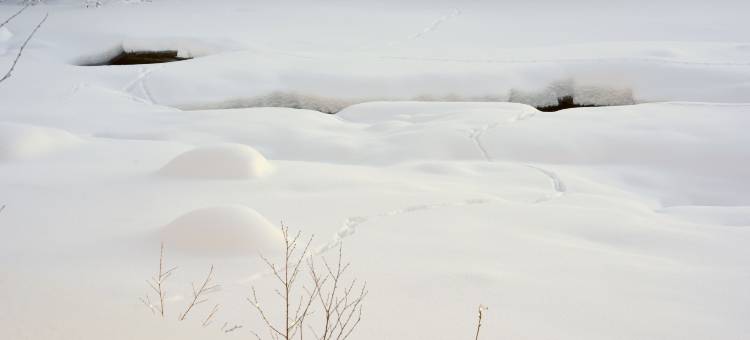 海姆瑟达尔清新家庭小屋饭店(Fresh Familie Hytte Hemsedal)图片