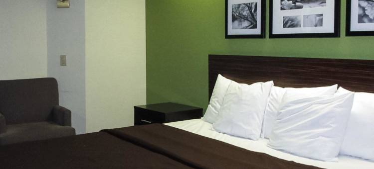 奥尔巴尼南罗德威酒店(Rodeway Inn Albany South)图片