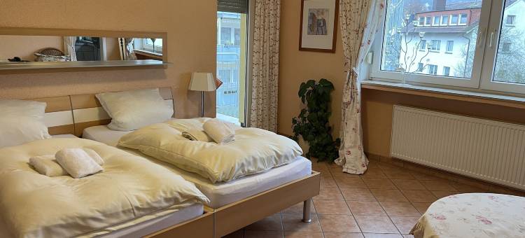 坎布里努斯阿尔斯贝格酒店(Hotel Gambrinus Arnsberg)图片