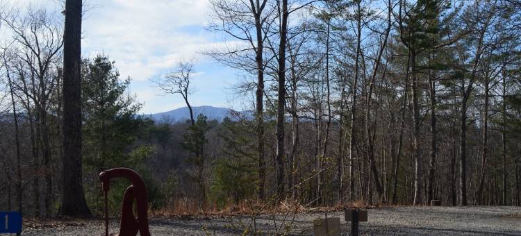 蓝岭山脉宁静小屋-带门禁, WiFi, 热水浴缸, 火坑, 游戏室(Peaceful Blue Ridge Mtn Cabin-Gated, WiFi, Hot Tub, Fire Pit, Game Room)图片