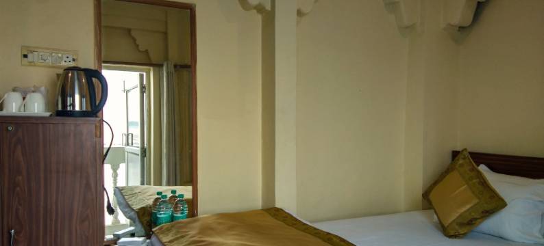 阶梯宫殿迪维迪酒店(Dwivedi Hotels Palace on Steps)图片