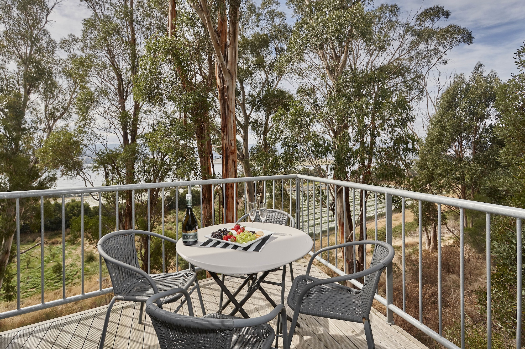 Tamar River Apartments Over view