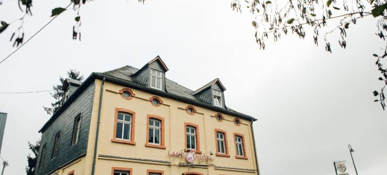 兰登机场酒店(Landhotel Airport-Inn)图片