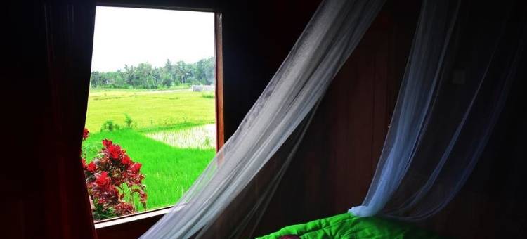 查哈亚特特巴图旅馆(Lesehan Cahaya Tetebatu Inn Syariah at Desa Wisata)图片