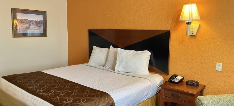 绿鸟旅社(Green Bird Inn)图片