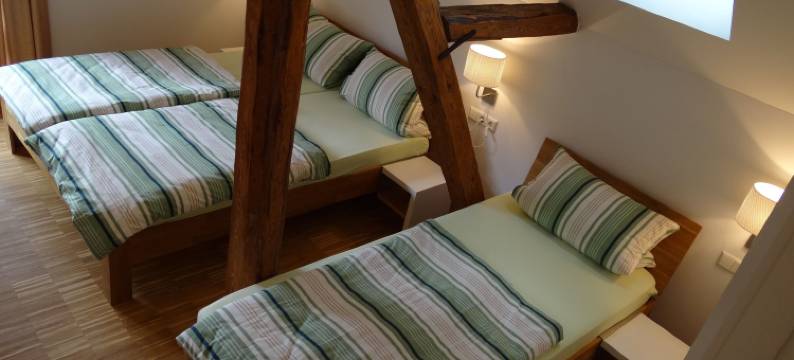 西辛斯霍夫酒店(Landgasthaus Zum Seysingshof)图片