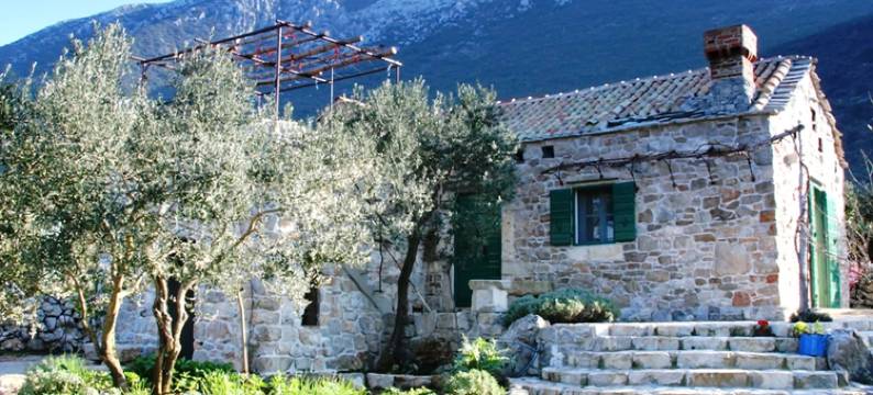 薰衣草小屋(Lavender Cottage)图片