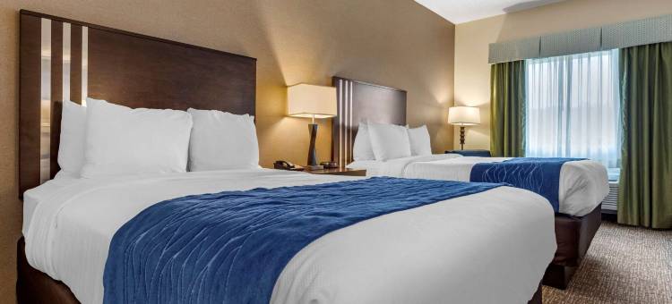 巴特勒舒适套房酒店(Comfort Inn & Suites Butler)图片