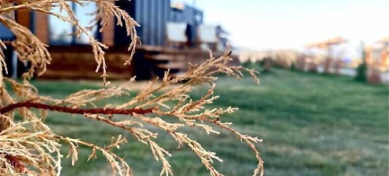 Lavira微小房屋村(Lavira Tiny House Village)图片