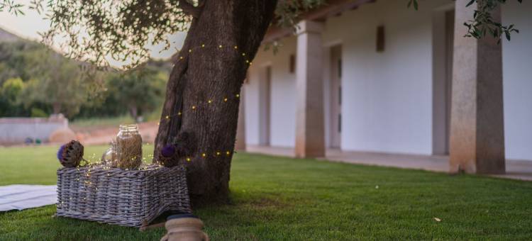 苏卡佩杜农家乐(Su Cappeddu Agriturismo)图片