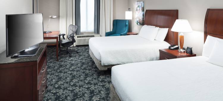 弗赖拉辛达拉斯希尔顿花园酒店(Hilton Garden Inn Dallas Frisco)图片