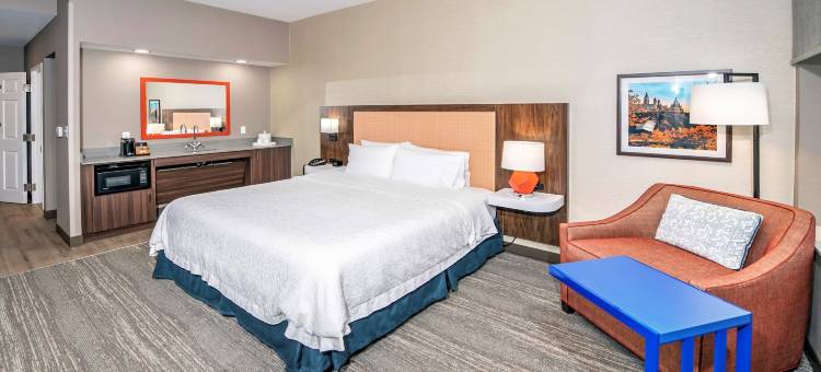 渥太华希尔顿欢朋酒店(Hampton Inn by Hilton Ottawa)图片