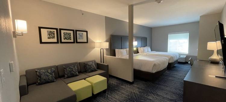 舒适酒店及套房巴尔奇斯普林斯 - 达拉斯东南(Comfort Inn & Suites Balch Springs - SE Dallas)图片