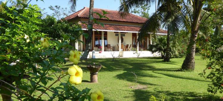 我们的家别墅(Rumah Kita Villa/Hotel)图片