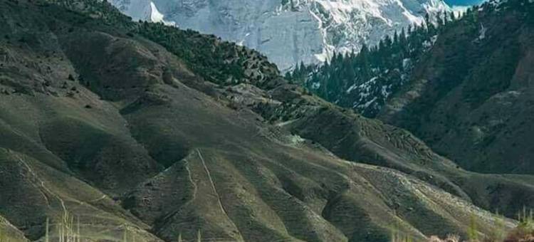 洪萨一号酒店(Hotel Hunza One)图片