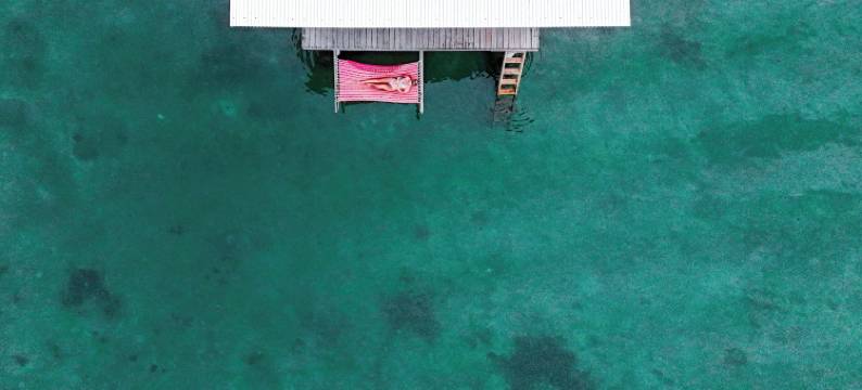 海猴酒店(The Sea Monkey)图片