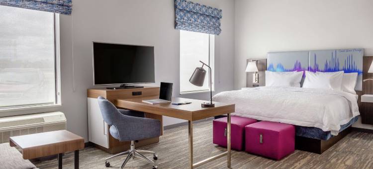 芝加哥布里奇维尤希尔顿欣庭酒店及套房(Hampton Inn & Suites Bridgeview Chicago)图片