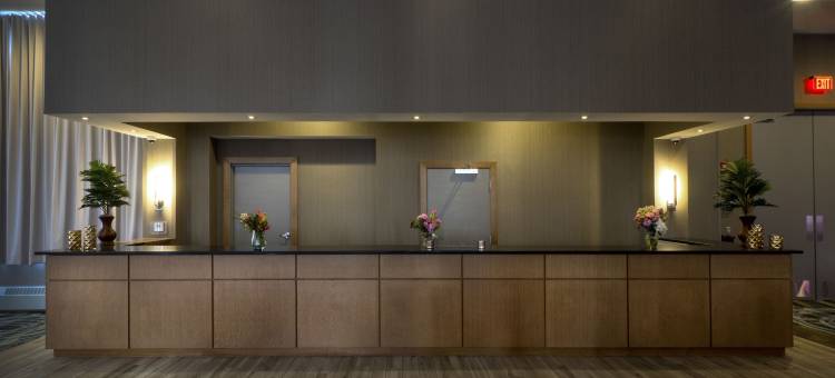 尼亚加拉瀑布希尔顿逸林酒店(DoubleTree by Hilton Niagara Falls)图片