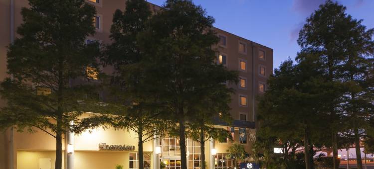 梅泰里新奥尔良喜来登酒店(Sheraton Metairie - New Orleans Hotel)图片