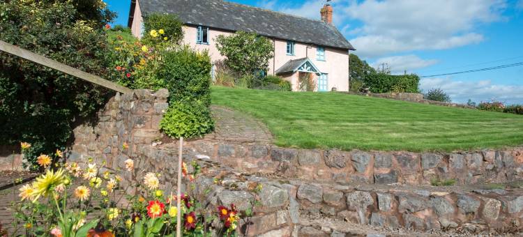 旧乳业巴顿主教住宿加早餐旅馆(The Old Dairy at Bishops Barton)图片