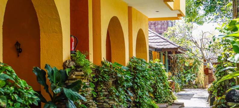 日惹乡村酒店(Jogja Village)图片