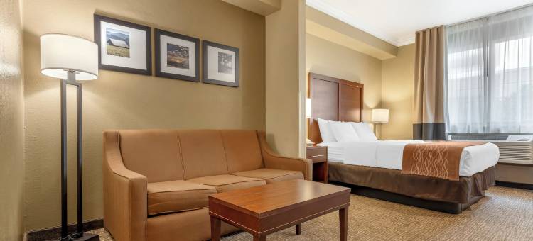 舒适酒店-阿克塔-洪保德区(Comfort Inn Arcata)图片