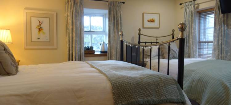 东景民宿(Eastview Bed and Breakfast)图片