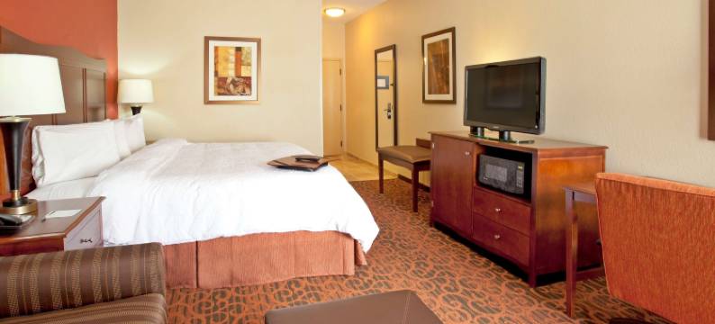 埃尔帕索机场欢朋套房酒店(Hampton Inn & Suites El Paso-Airport)图片