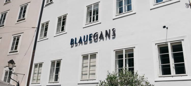 蓝骑士甘斯艺术酒店(ArtHotel Blaue Gans)图片