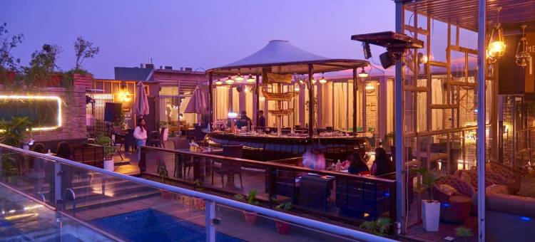 阿格拉宫殿PL酒店(The P L Palace Agra)图片