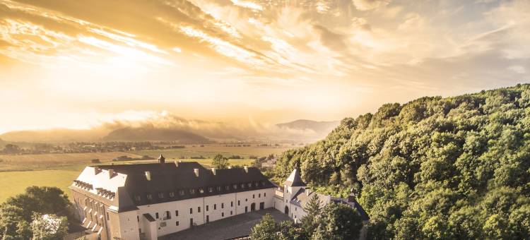 维格拉斯大酒店(Hotel Grand Vígľaš)图片