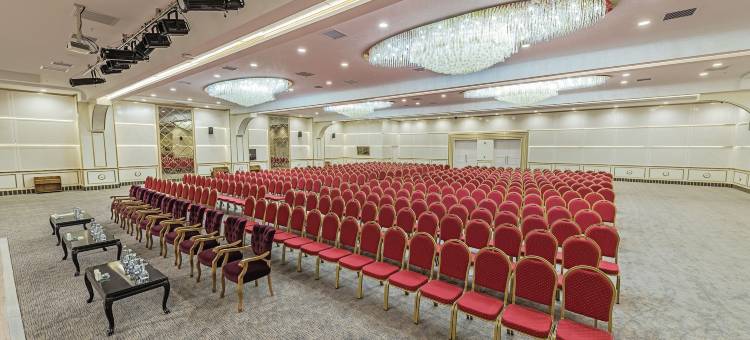 安卡拉市中心酒店(Downtown Ankara Hotel)图片