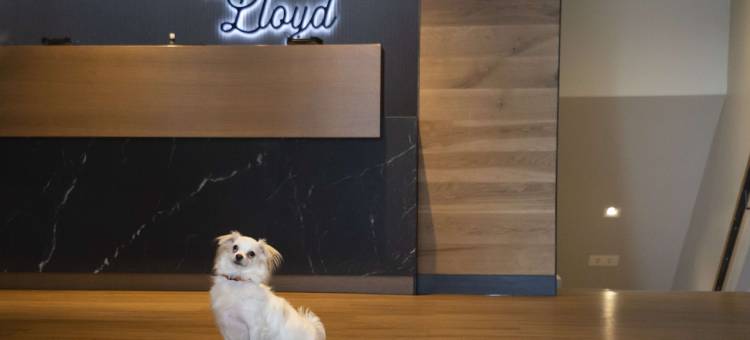 斯坦福德罗伊德酒店，希尔顿启缤精选(The Lloyd Stamford, Tapestry Collection by Hilton)图片