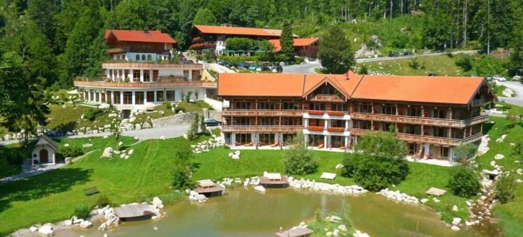 Feuriger Tatzlwurm图片