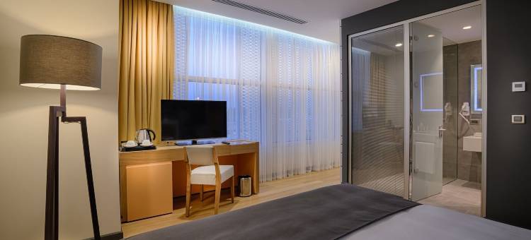 伊兹密尔塔夫机场酒店(Tav Airport Hotel Izmir)图片