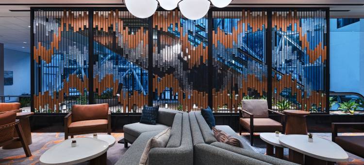 休斯顿医疗中心/博物馆区万豪酒店(Houston Marriott Medical Center/Museum District)图片