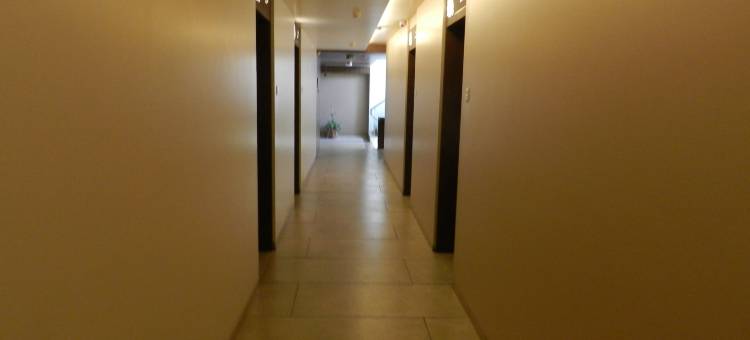 K Tree - 一家精品酒店(Hotel K Tree - A Boutique Hotel)图片