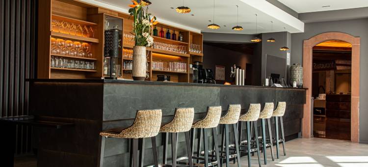 欧洲酒店(Hotel l'Europe)图片