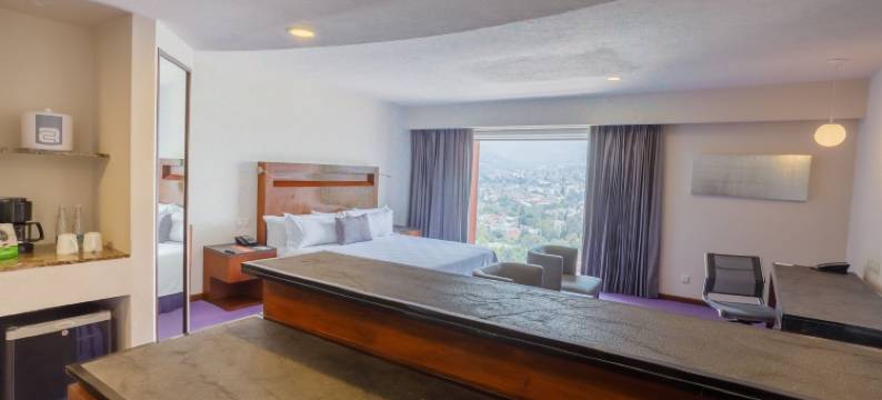 佩德雷加尔卡米诺里尔酒店(Camino Real Pedregal Mexico)图片