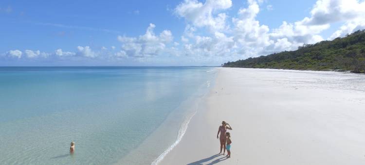 Kingfisher Bay Resort图片