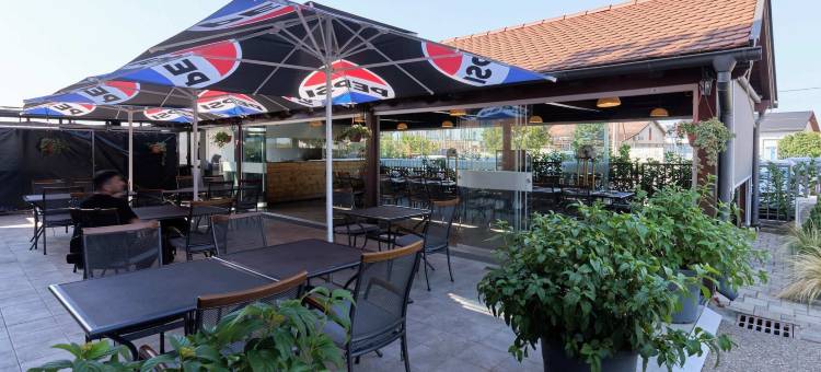 凤凰酒店(Hotel Phoenix)图片