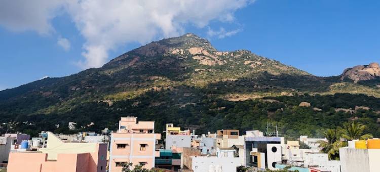 皇家酒店(Hotel Royal Inn)图片