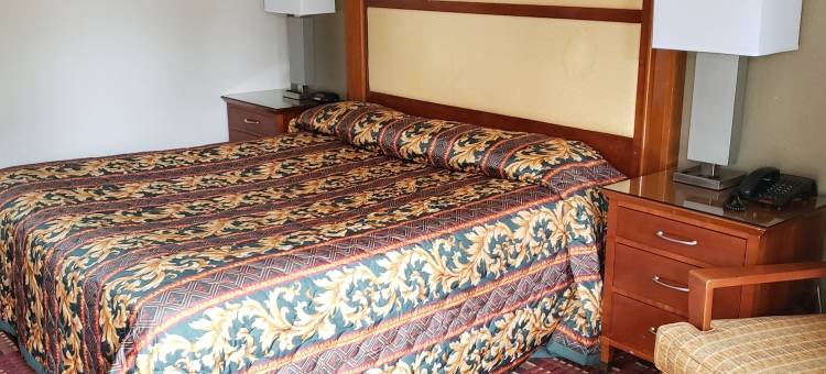 桃子树旅馆(Peach Tree Inn)图片