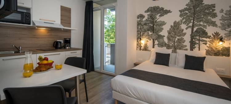 米卢斯拉格兰奇酒店式公寓(Lagrange Apart'Hotel Mulhouse)图片