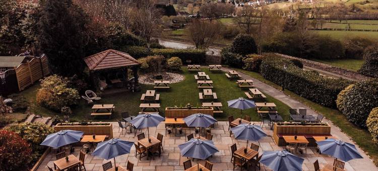 梅纳德(The Maynard)图片